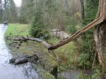 Vrchpredmier, Pavlík